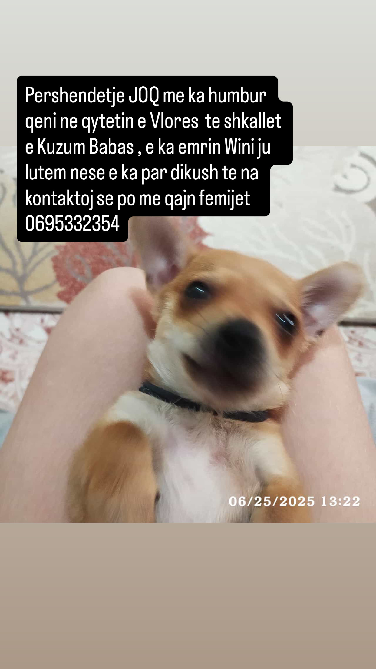 ...